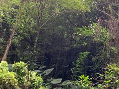 -海口火山口国家地质公园