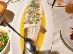 -金枝玉叶上海人家食府(三里河店)