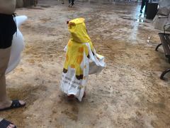 -杭州开元森泊度假乐园