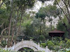 -深圳国际园林花卉博览园