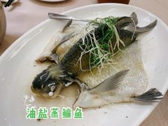 油盐蒸神仙鳊鱼-四海酒家生态粤菜