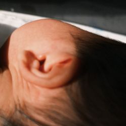 -安琪朵朵独栋花园月子中心