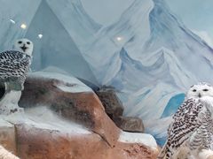 -海合安成都极地海洋公园