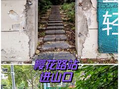 -紫金山山顶公园