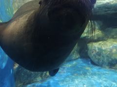 -锦艺城海洋馆