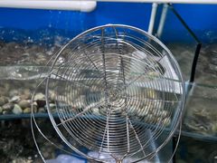 -四海蒸鲜蒸汽海鲜自助(北戴河店)