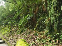 -西岭雪山大飞水景区