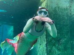 -上海玛雅海滩水公园