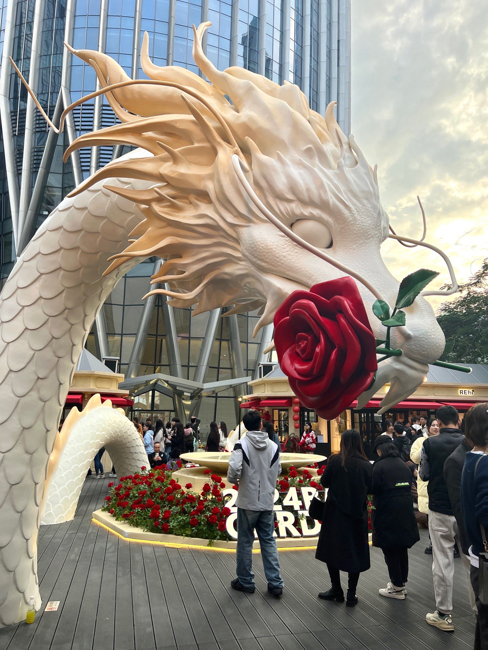 深圳新展!🐉龙年玫瑰庄园🌹