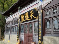 -石老人观光园