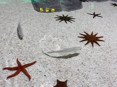 -福州罗源湾海洋世界旅游区
