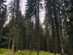 -硗碛藏寨·神木垒景区