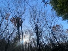 -南京金牛湖风景区