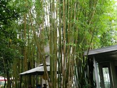 -新竹里馆·花园餐厅(兴苑路店)