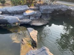 -东莞植物园