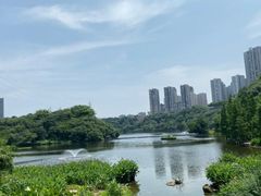 -重庆彩云湖湿地公园