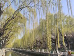 -环城公园