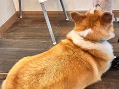 -肥朵食堂(带梦胡同店)