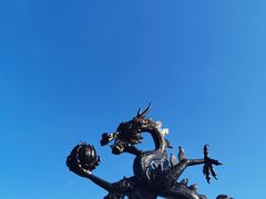 -墨脱石锅椰子鸡•香草鸭•东山羊(大东海店)