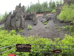 -峡谷浮石林景区