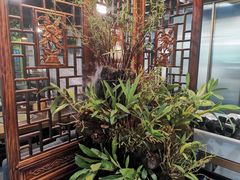 -庆合府重庆大排档(紫都城店)