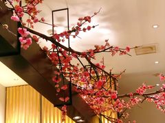 -老板恋上鱼(荣盛广场店)