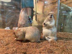 -Zoolung Zoolung动物主题公园(海信广场店)