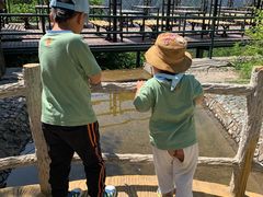 -十渡东湖港风景区