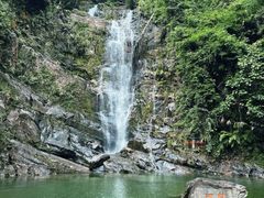 -鼎香皇高佬苏裹蒸粽