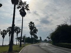 -椰风寨
