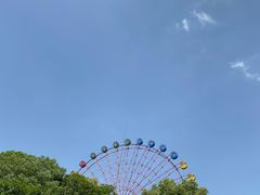 -南湖梦幻岛