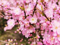 -白塘生态植物园