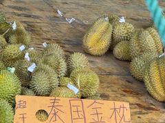 -海吉星市场