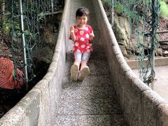 -洛阳白云山景区