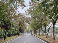 -美的鹭湖森林度假区