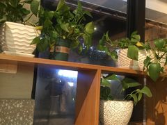 -小义乌砂锅拉面(海事共享区店)