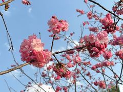 -洛龙公园