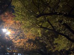 -北海道厅旧本厅舍(旧本庁舎)