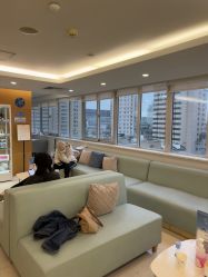 点击看大图 -杭州贝瑞斯美华妇儿医院·早孕·产检·儿科