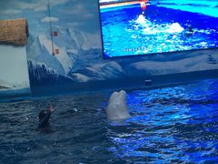 -石林冰雪海洋世界