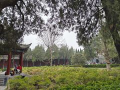 -洛阳白马寺