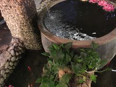 -三道苗苗鱼·美蛙黄辣丁(八里店)