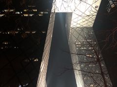 -中央广播电视总台(光华路办公区)