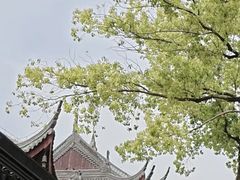 -西园寺素食(西园弄戒幢律寺店)