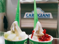 -Salud撒露欧洲冻酸奶(蓝色港湾店)