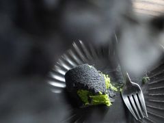-解药·antidote Cafe&Bar