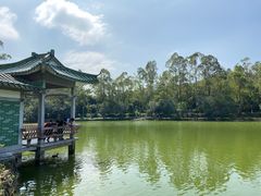 -大雁山风景区