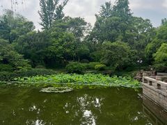 -秋霞圃