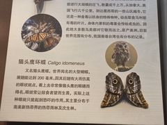 -天津自然博物馆