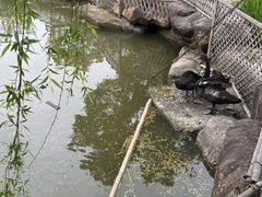 -径山花海